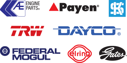AE engine parts, payen, KS, TRW, Dayco, Federal Mogul, Elring, Gates